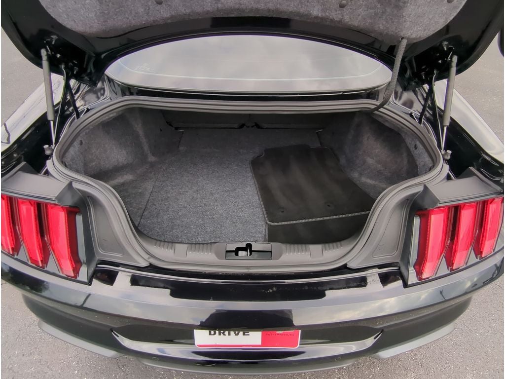 2019 Ford Mustang Saleen Yellow Label