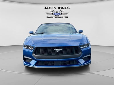 2024 Ford Mustang EcoBoost
