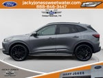 2024 Ford Escape ST-Line Elite
