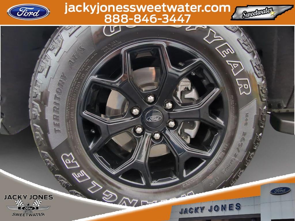 2024 Ford Expedition Timberline