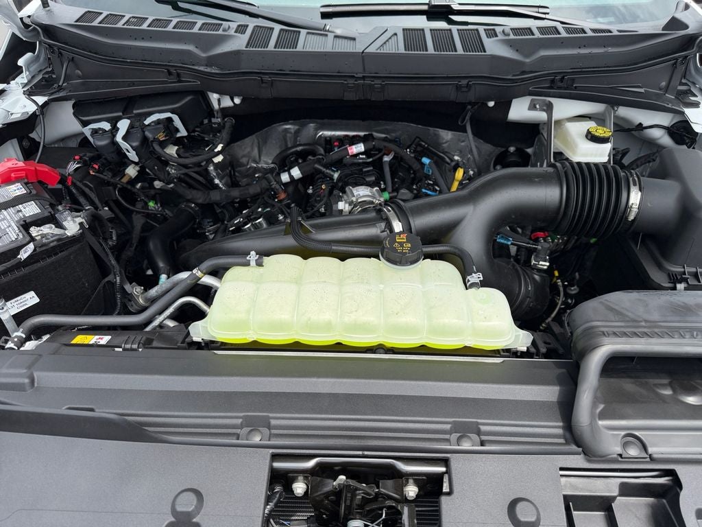 2026 Ford F-150 STX-UPCOMING DEMO