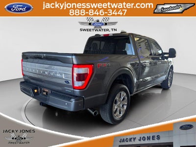 2023 Ford F-150 Platinum