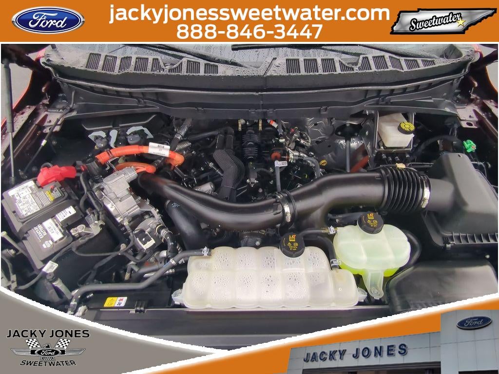 2024 Ford F-150 King Ranch