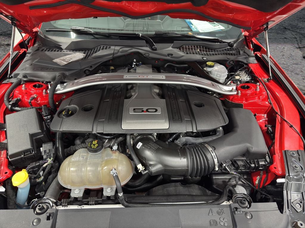 2019 Ford Mustang GT Premium