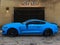 2017 Ford Mustang Shelby Shelby GT350