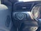 2017 Ford Mustang Shelby Shelby GT350