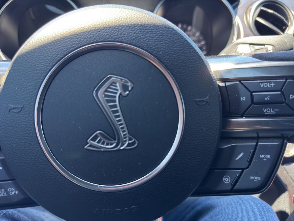 2017 Ford Mustang Shelby Shelby GT350