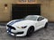2017 Ford Mustang Shelby Shelby GT350