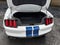 2017 Ford Mustang Shelby Shelby GT350