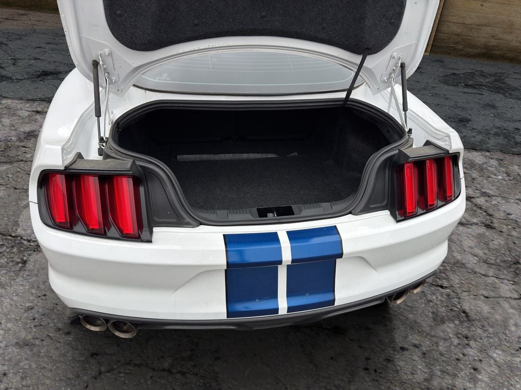 2017 Ford Mustang Shelby Shelby GT350