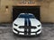2017 Ford Mustang Shelby Shelby GT350
