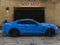 2017 Ford Mustang Shelby Shelby GT350