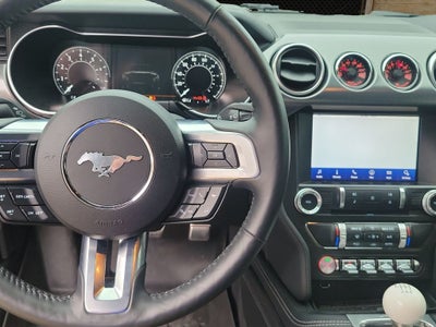 2021 Ford Mustang Mach 1