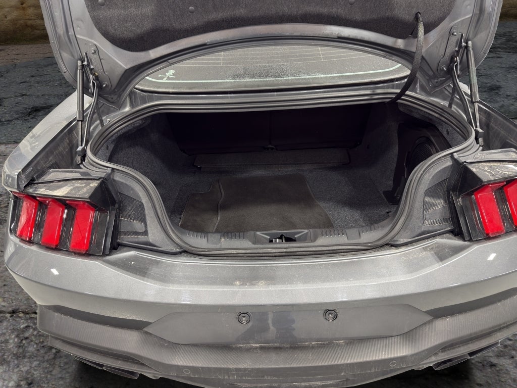 2024 Ford Mustang Dark Horse