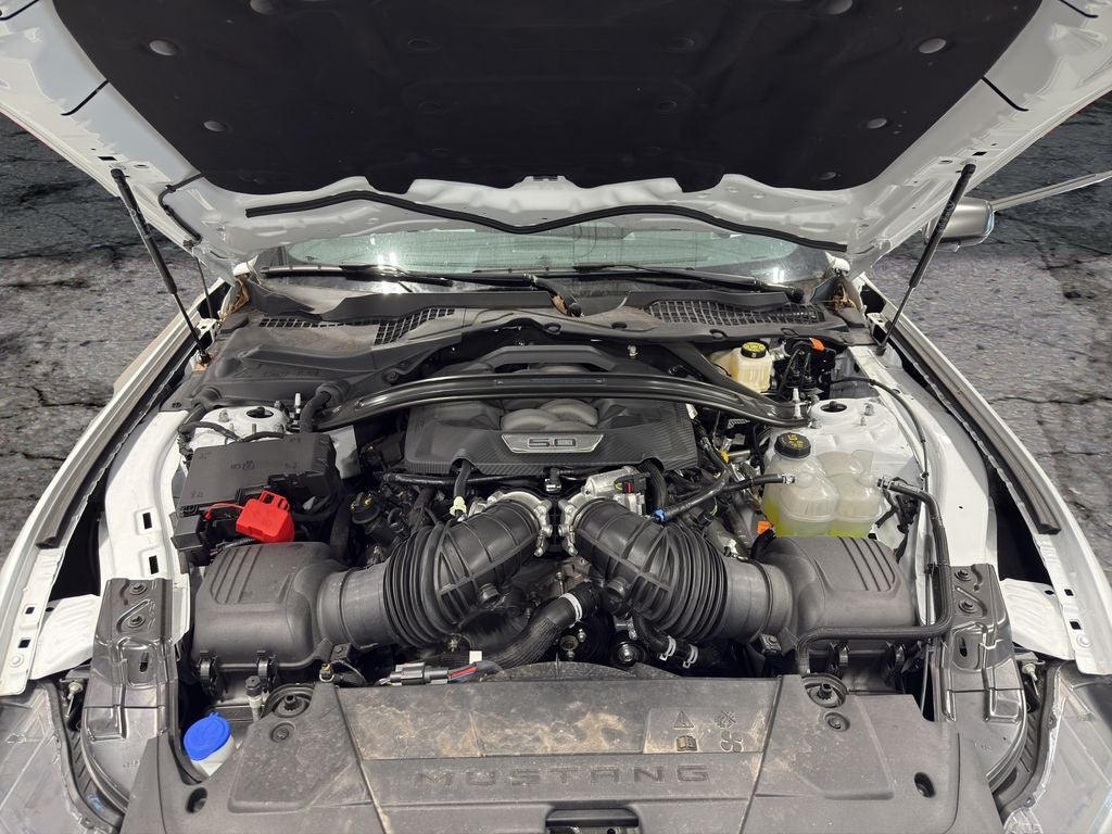 2024 Ford Mustang Dark Horse