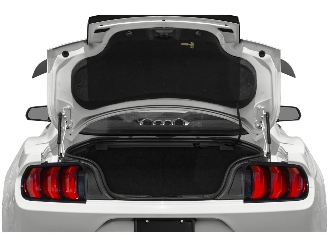 2021 Ford Mustang Mach 1