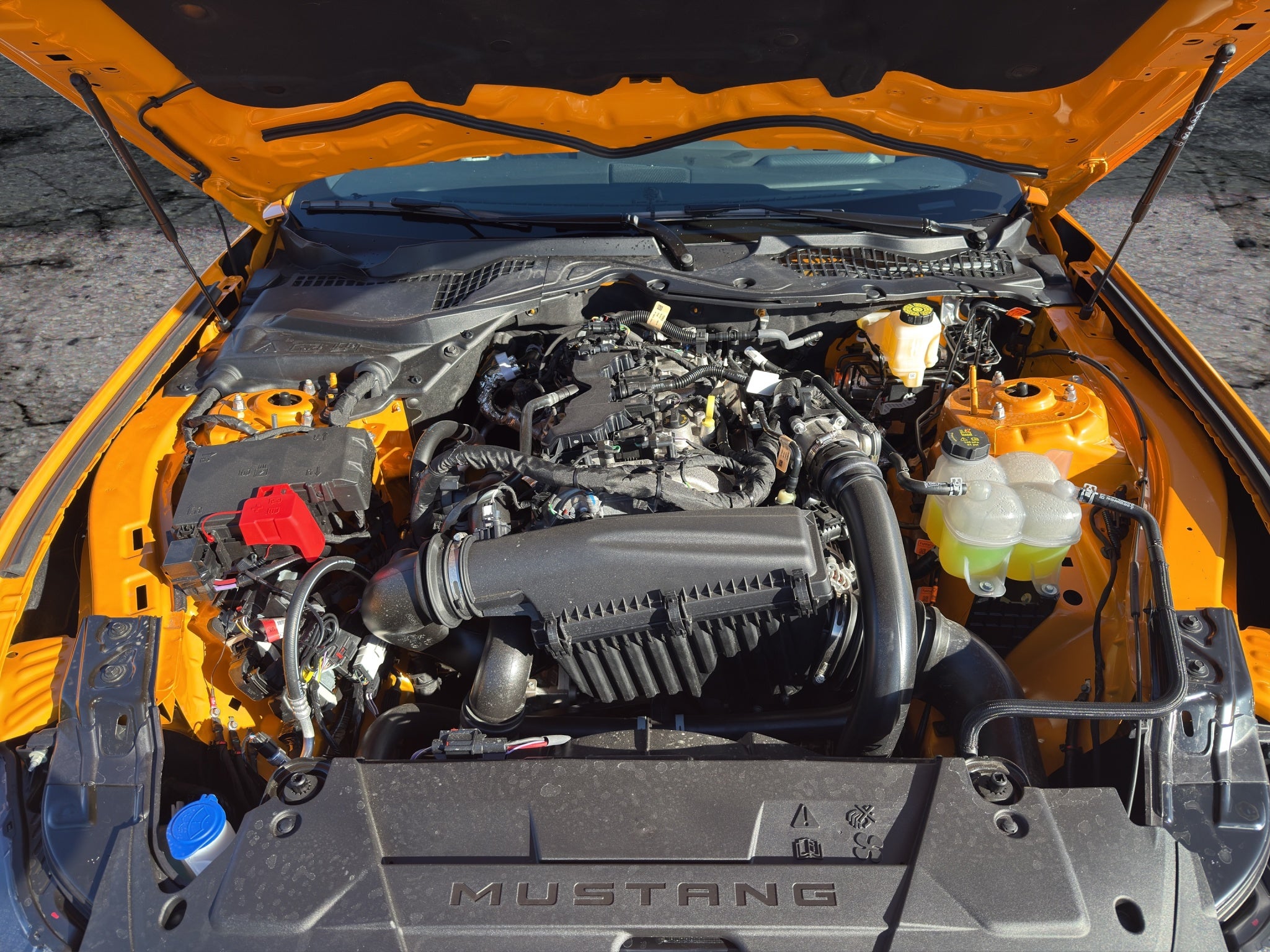 2026 Ford Mustang EcoBoost Premium