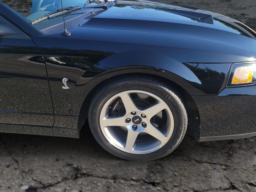 2003 Ford Mustang SVT Cobra