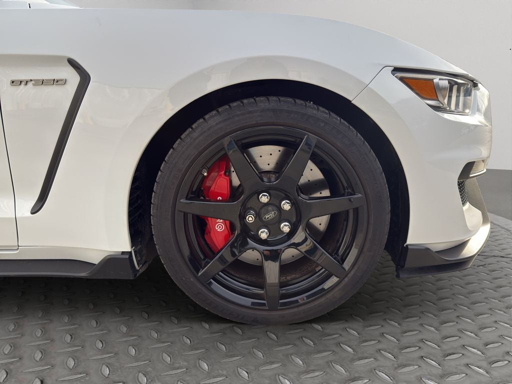 2017 Ford Mustang Shelby Shelby GT350R