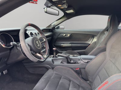 2017 Ford Mustang Shelby Shelby GT350R