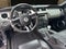 2012 Ford Mustang Shelby GT500 Shelby GT500