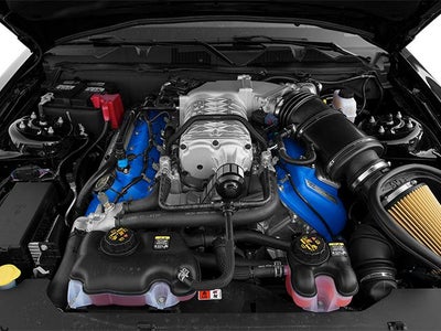 2013 Ford Mustang Shelby GT500 Shelby GT500