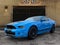 2013 Ford Mustang Shelby GT500 Shelby GT500