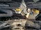 2025 RAM ProMaster 2500 Tradesman