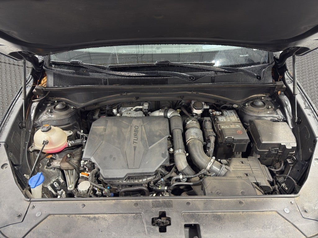 2021 Hyundai Santa Fe Calligraphy