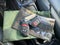 2025 Jeep Gladiator Mojave X