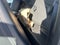 2025 RAM 5500 Chassis Cab Tradesman
