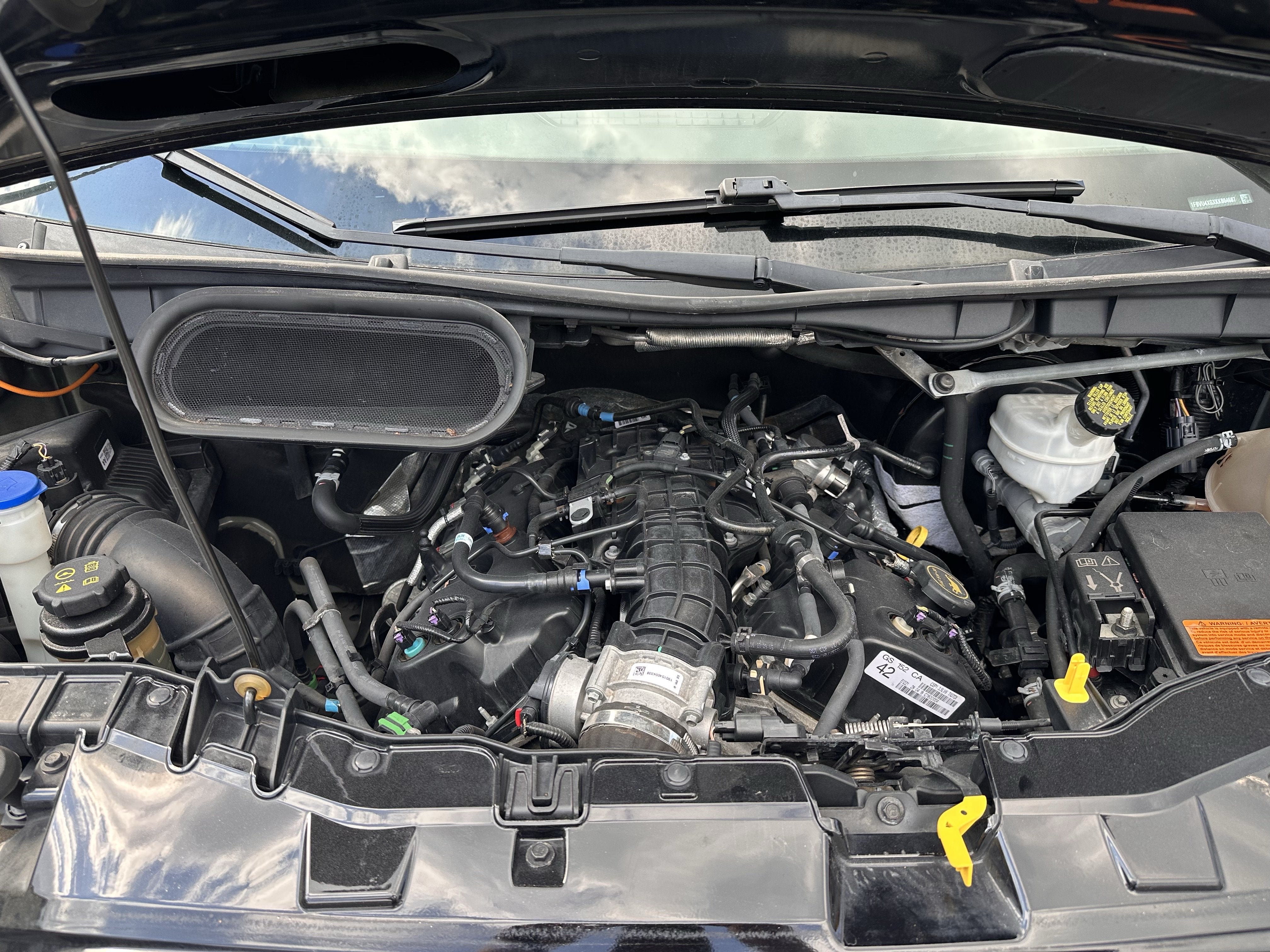 2019 Ford Transit Passenger Wagon XLT