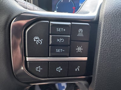 2025 Ford Super Duty F-250 Platinum