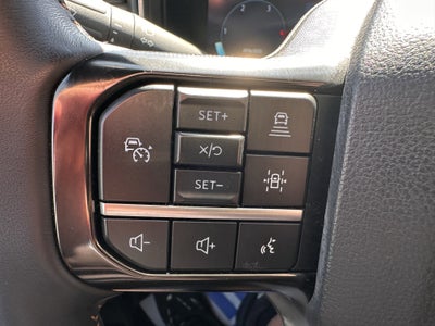 2024 Ford Super Duty F-250 Platinum