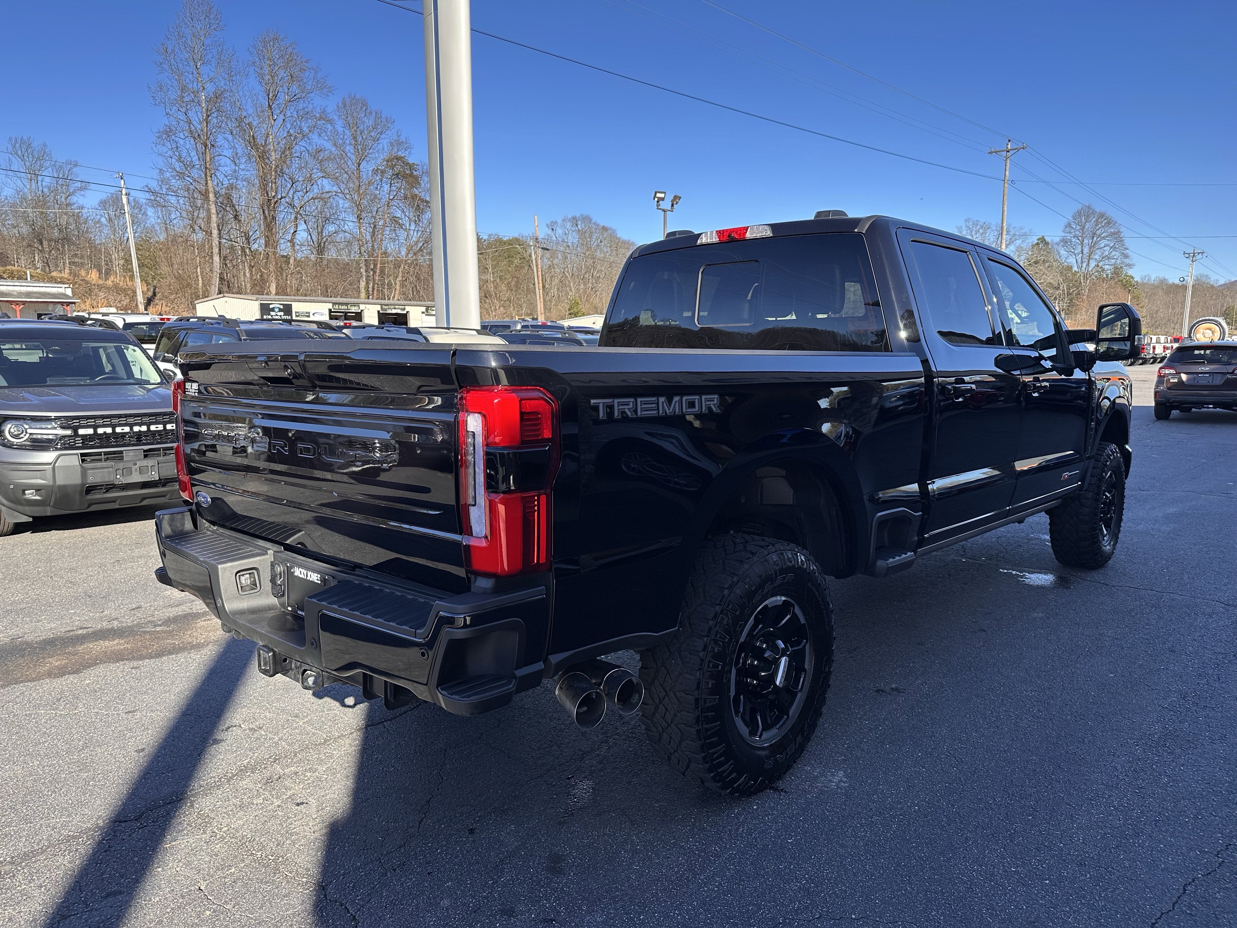 2025 Ford Super Duty F-350 SRW Platinum