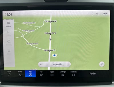 2025 Ford Super Duty F-350 DRW Platinum