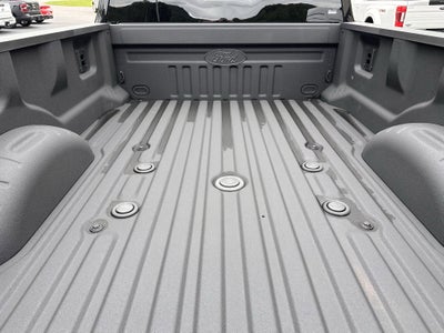 2025 Ford Super Duty F-350 DRW Platinum