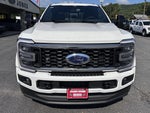 2026 Ford Super Duty F-450 Platinum