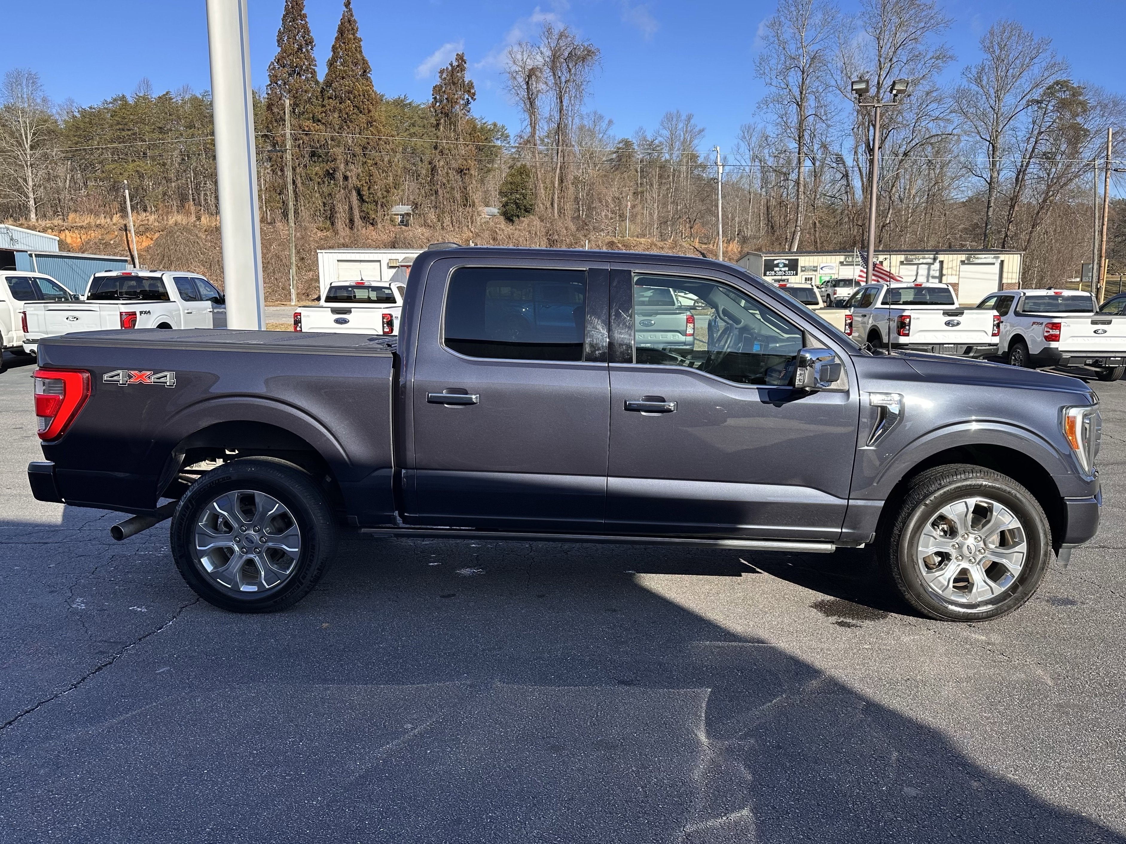 2022 Ford F-150 Platinum