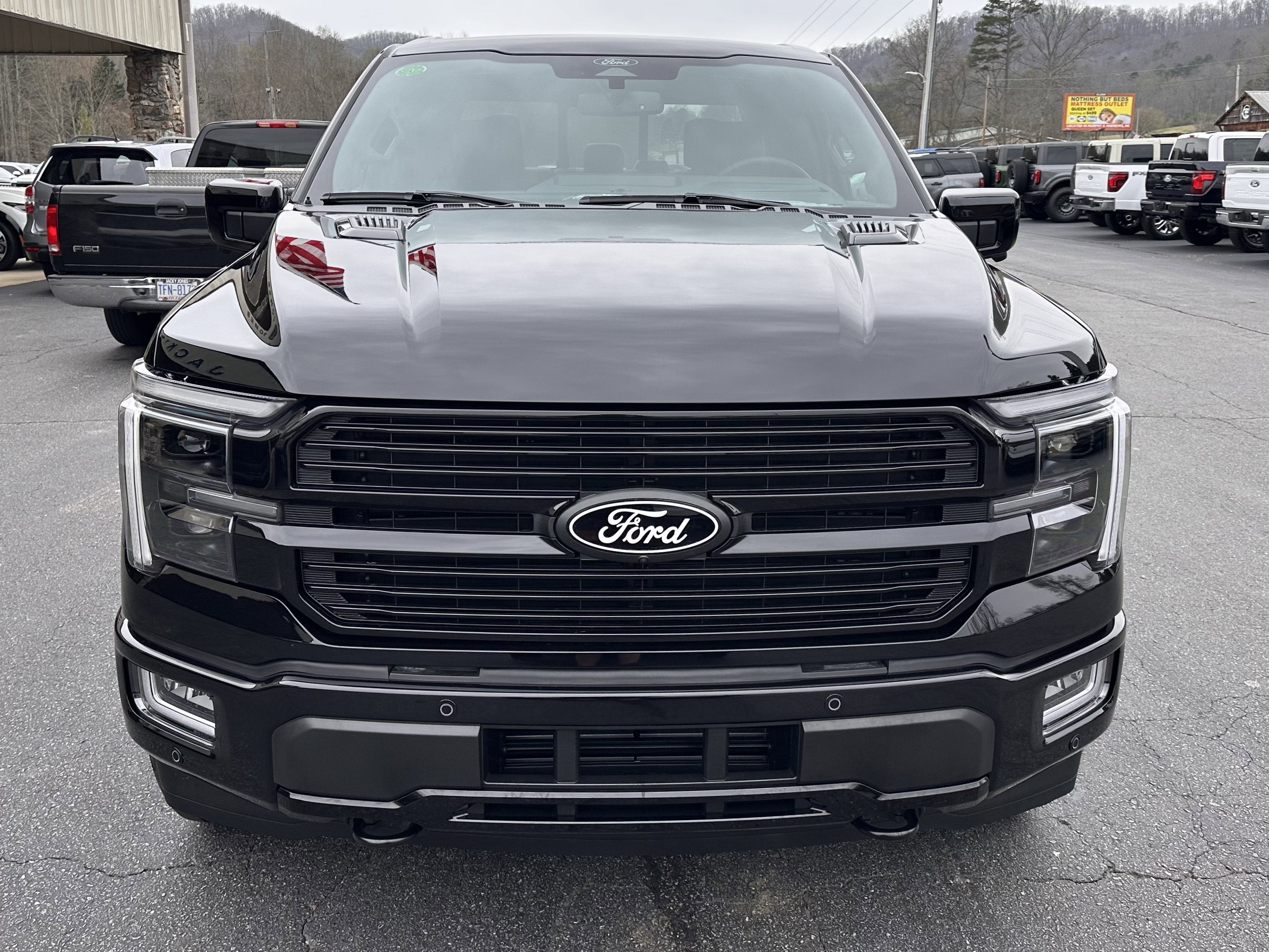 2025 Ford F-150 Platinum