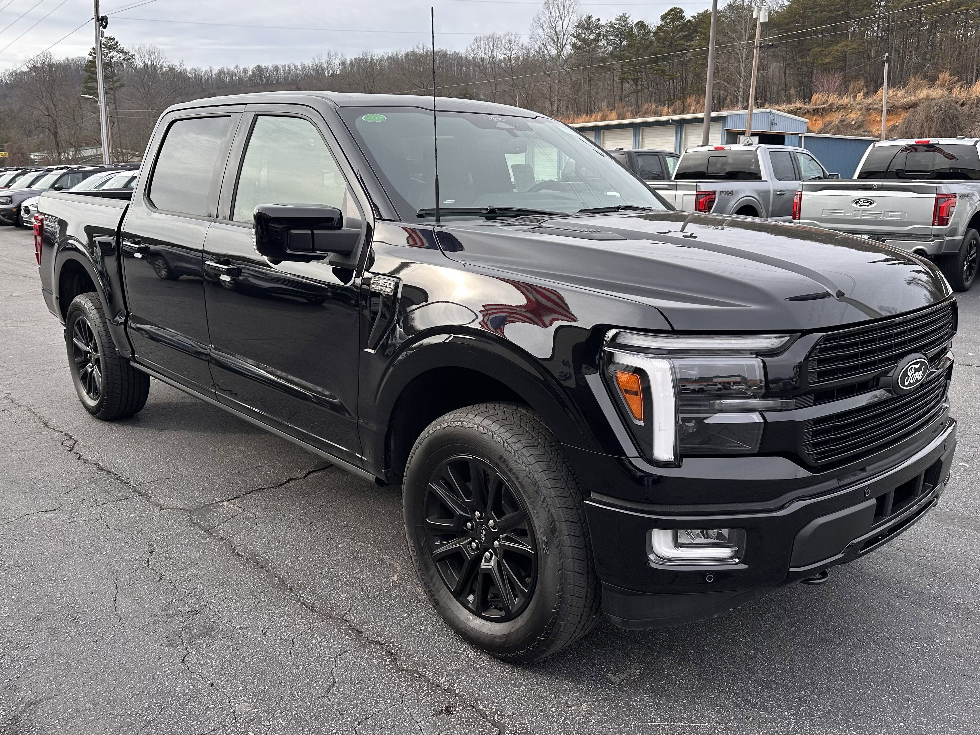 2025 Ford F-150 Platinum