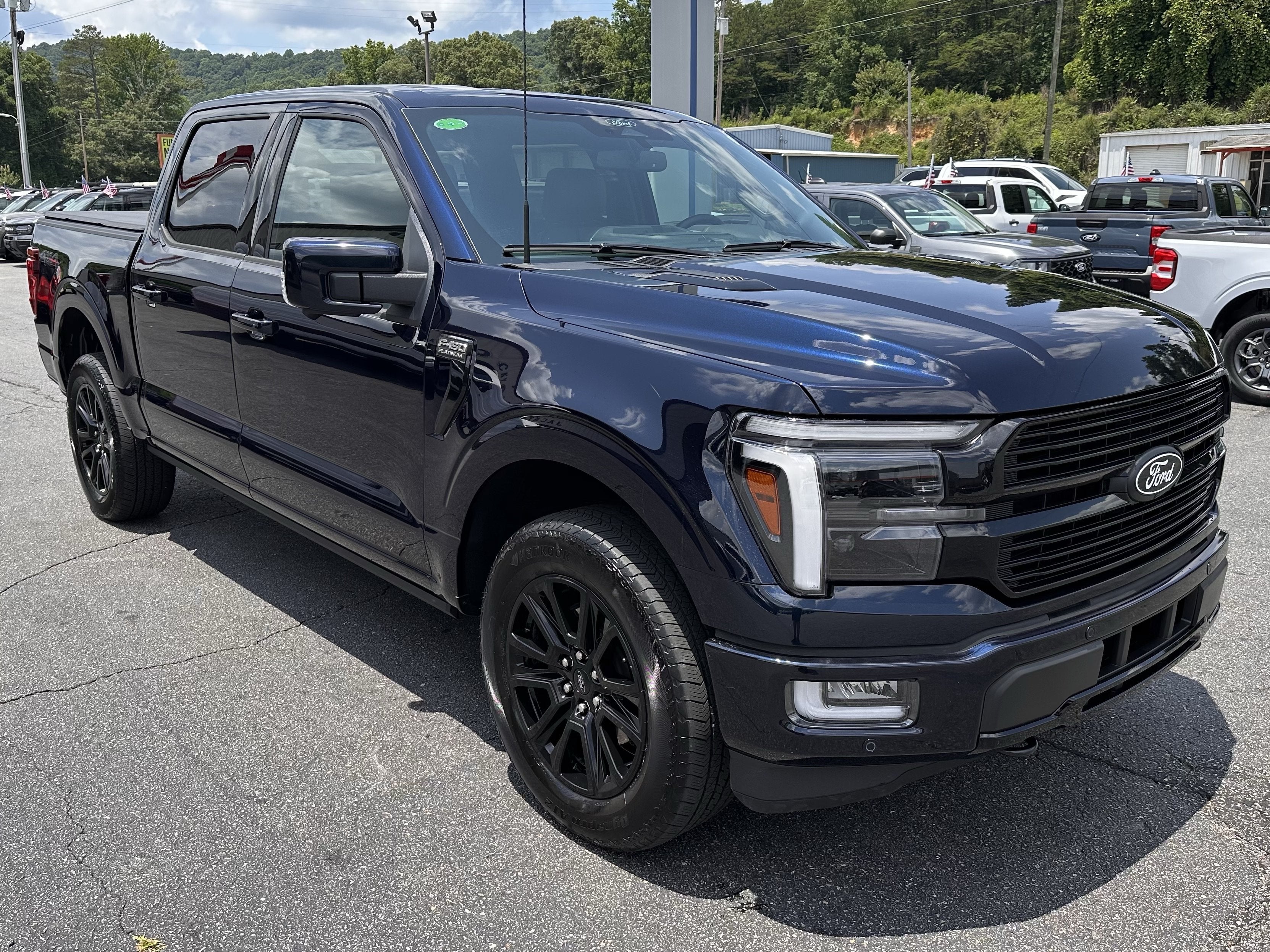 2025 Ford F-150 Platinum