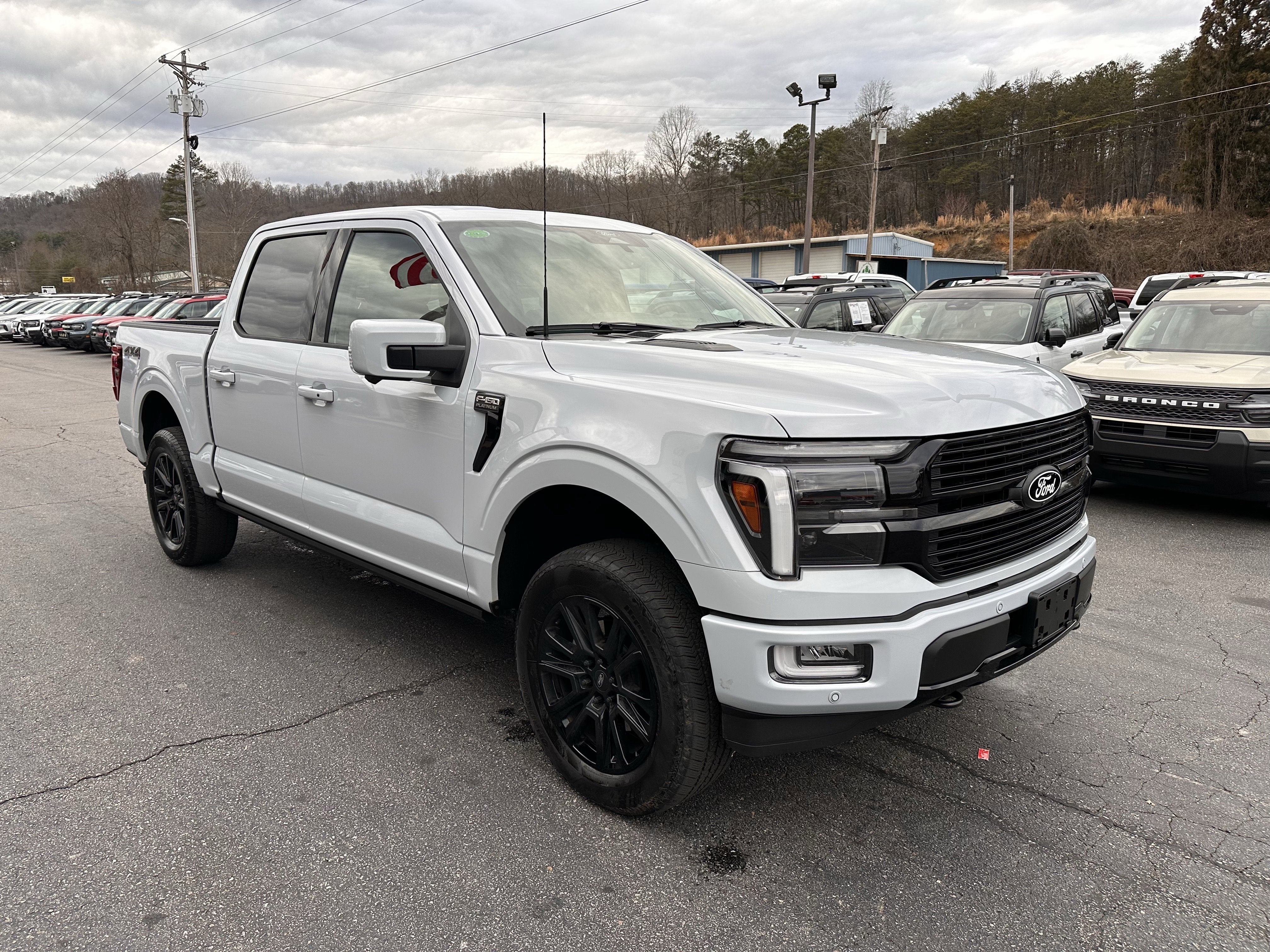 2025 Ford F-150 Platinum