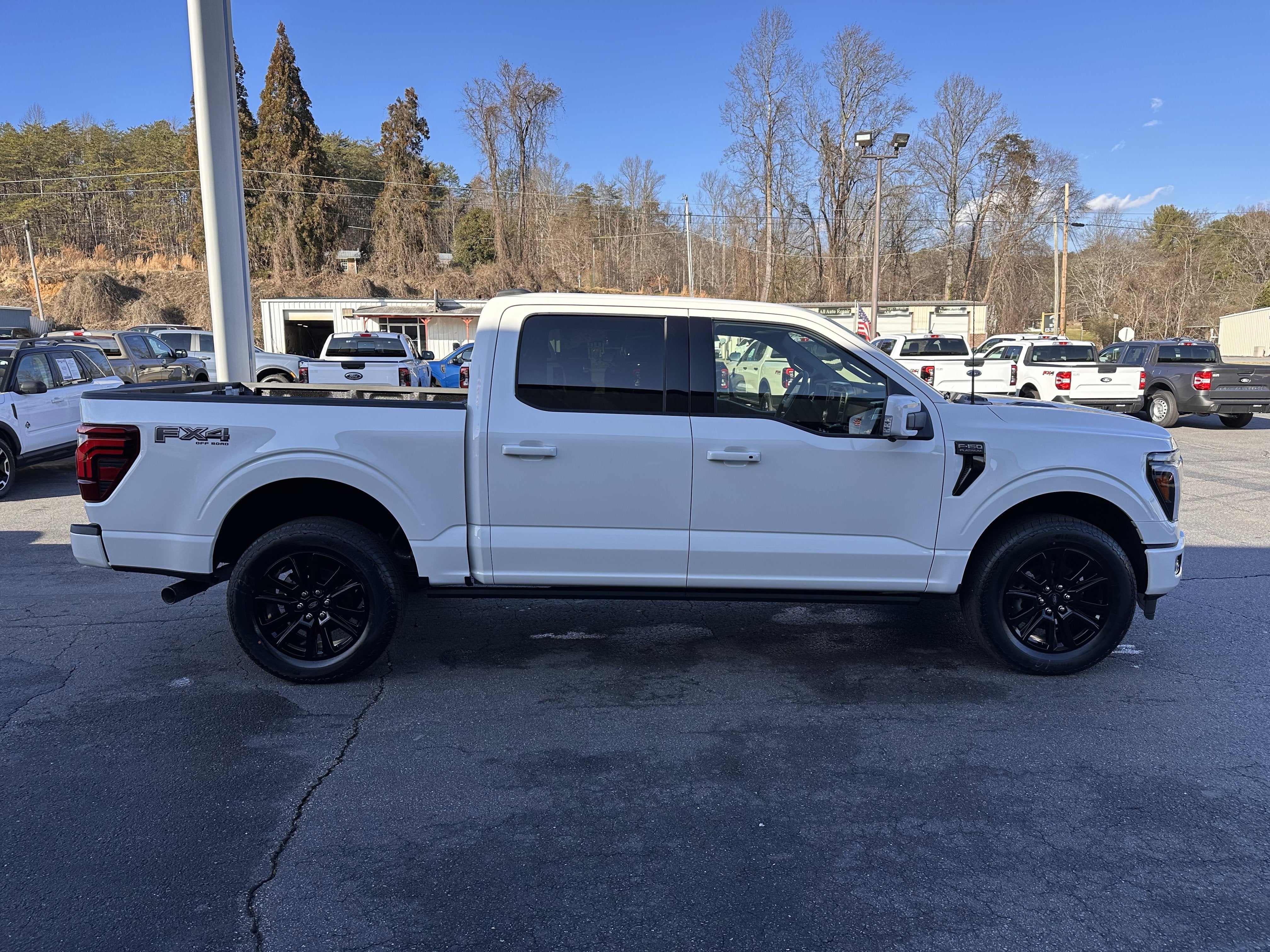 2025 Ford F-150 Platinum