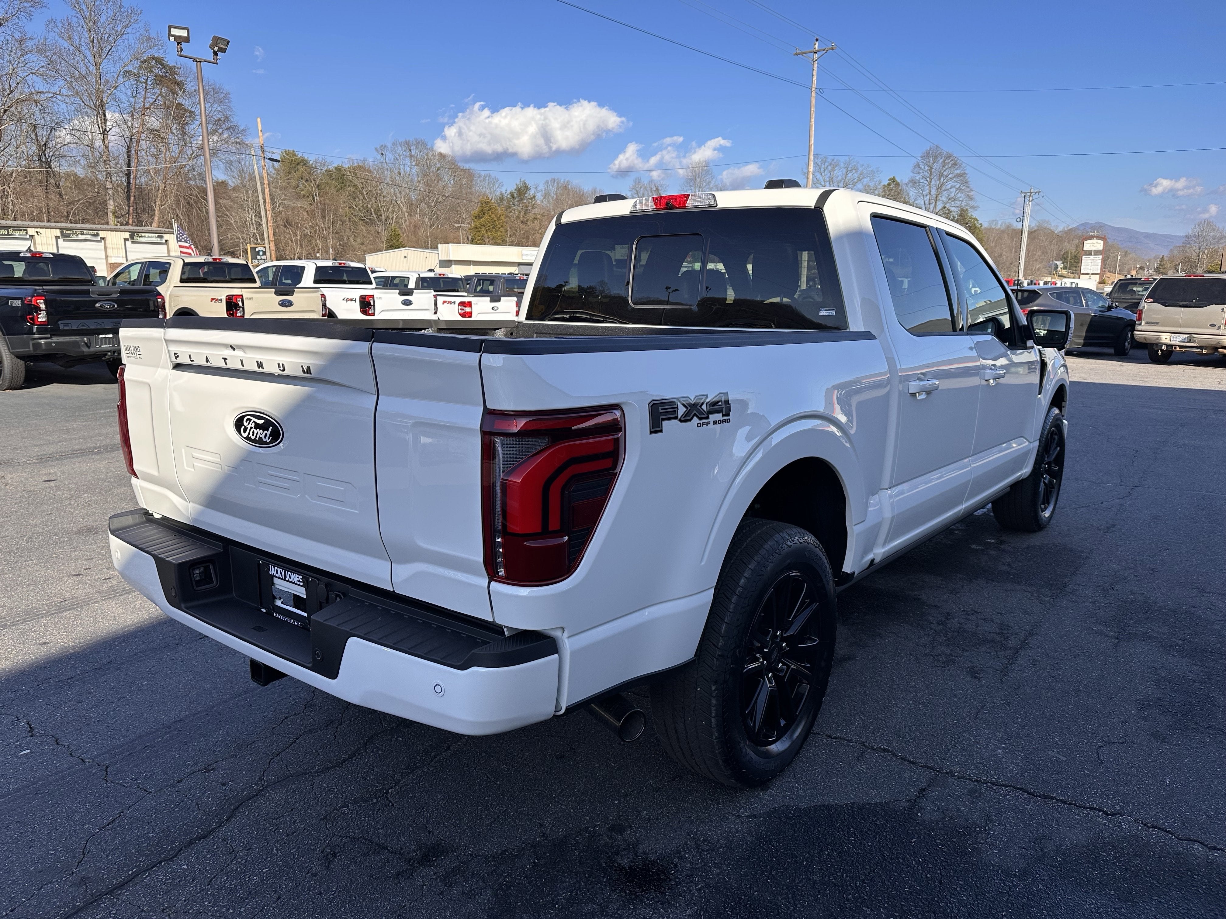 2025 Ford F-150 Platinum
