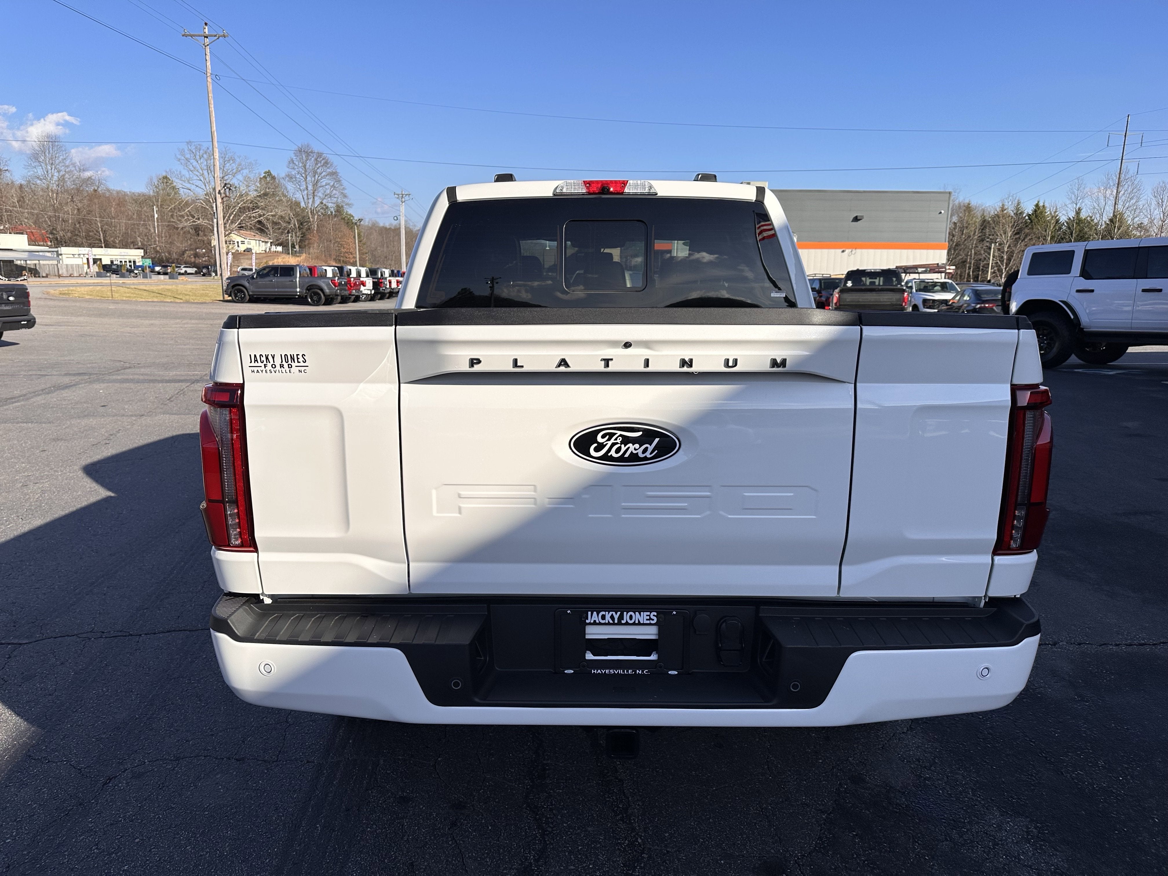 2025 Ford F-150 Platinum