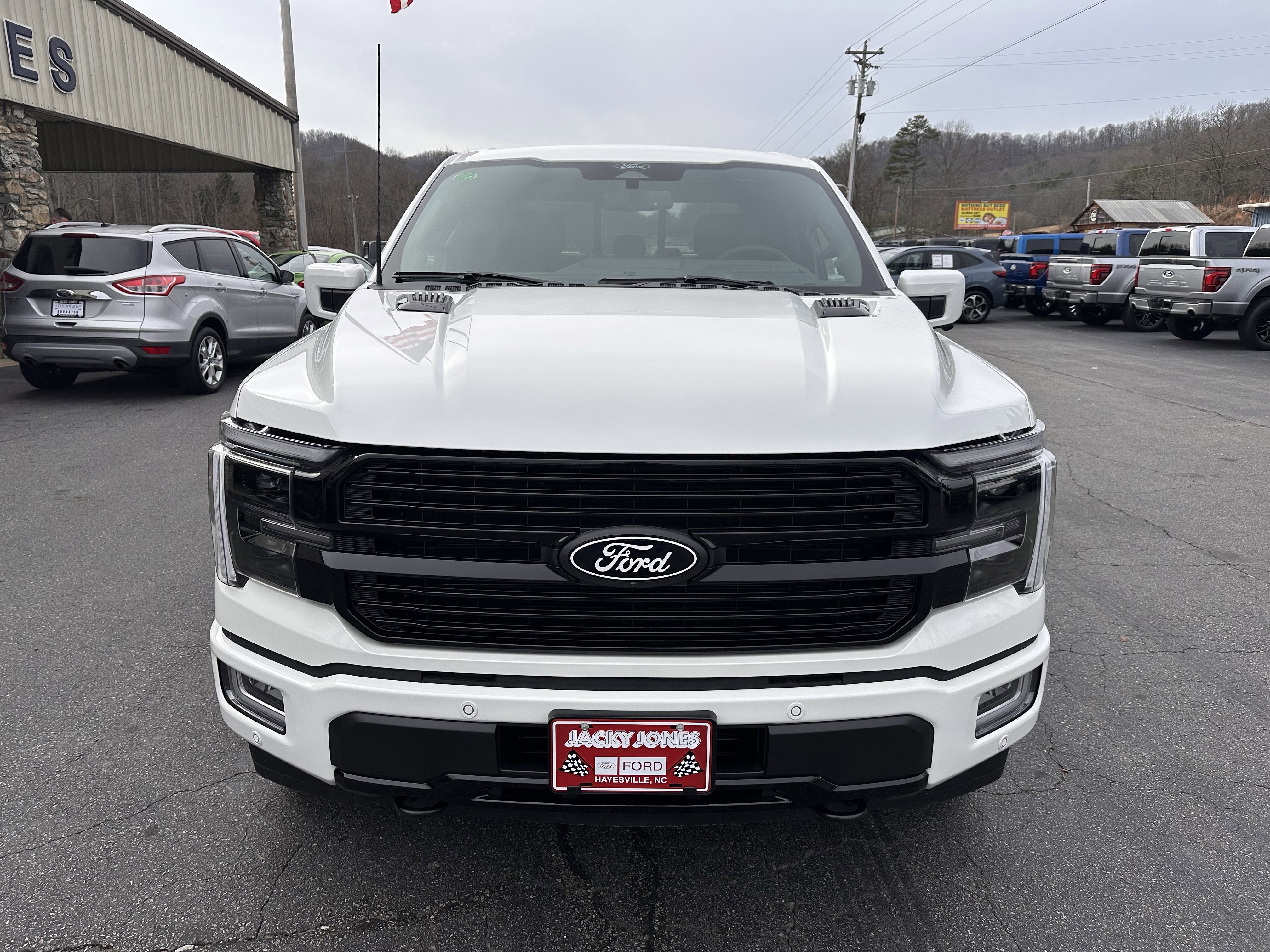 2025 Ford F-150 Platinum