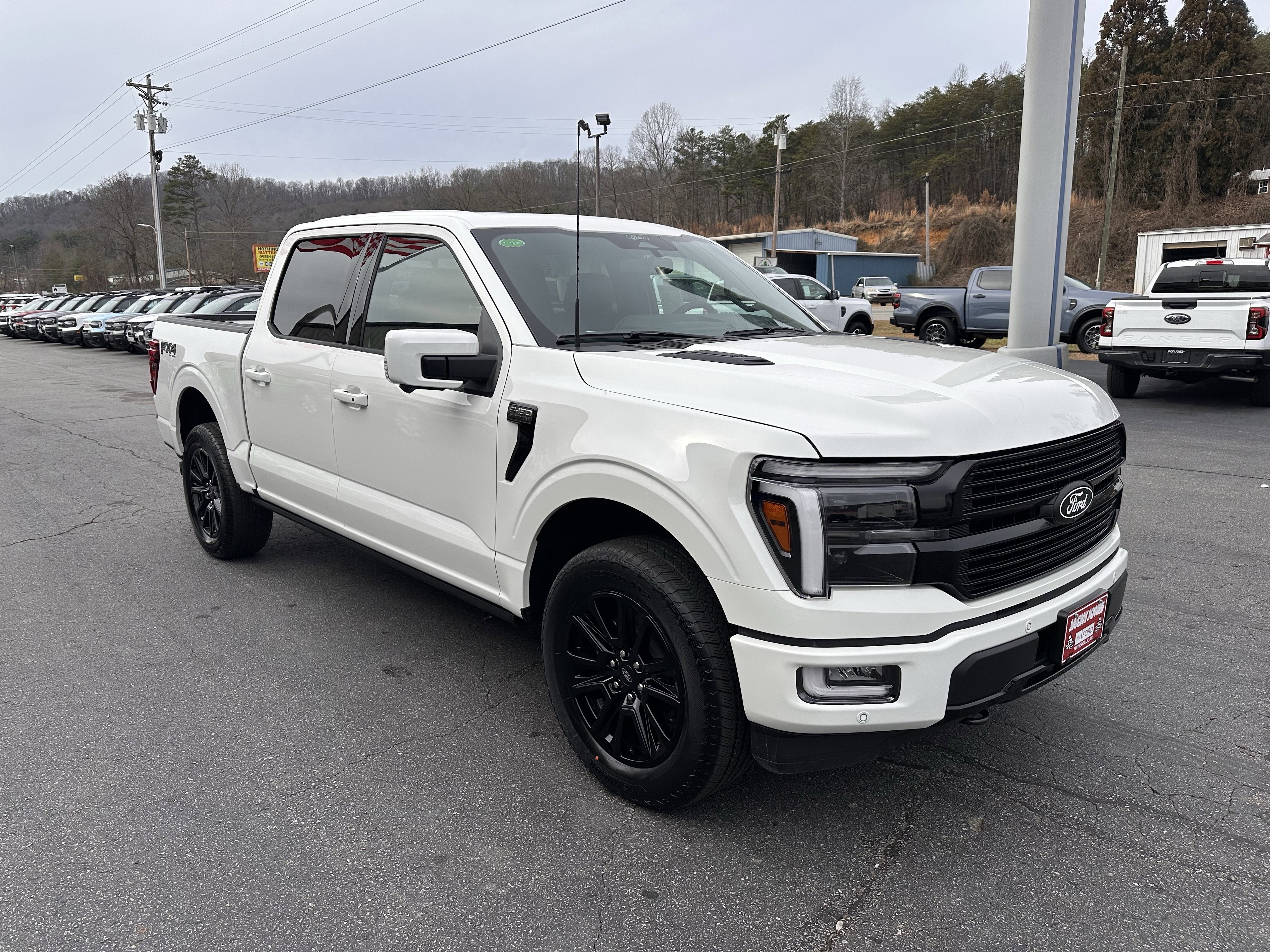 2025 Ford F-150 Platinum