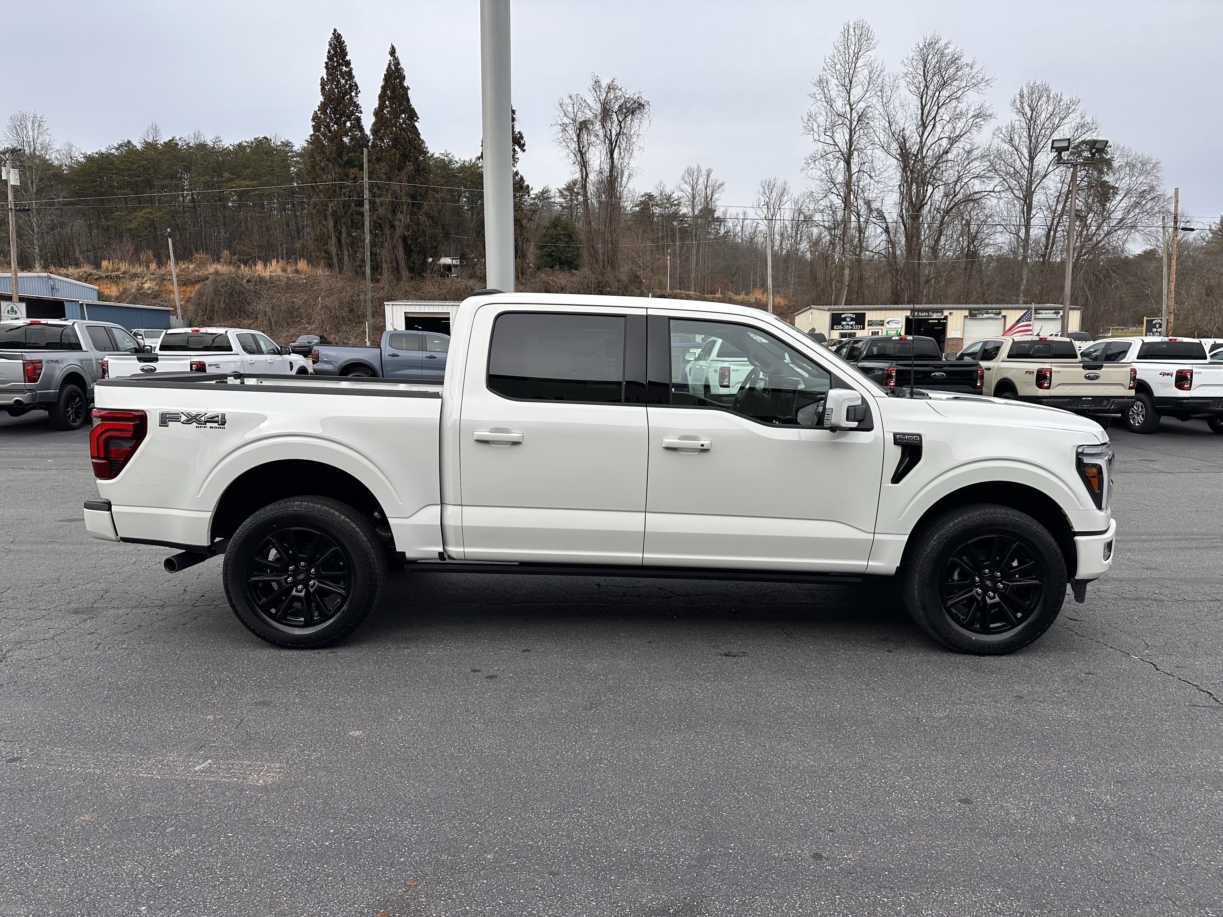 2025 Ford F-150 Platinum