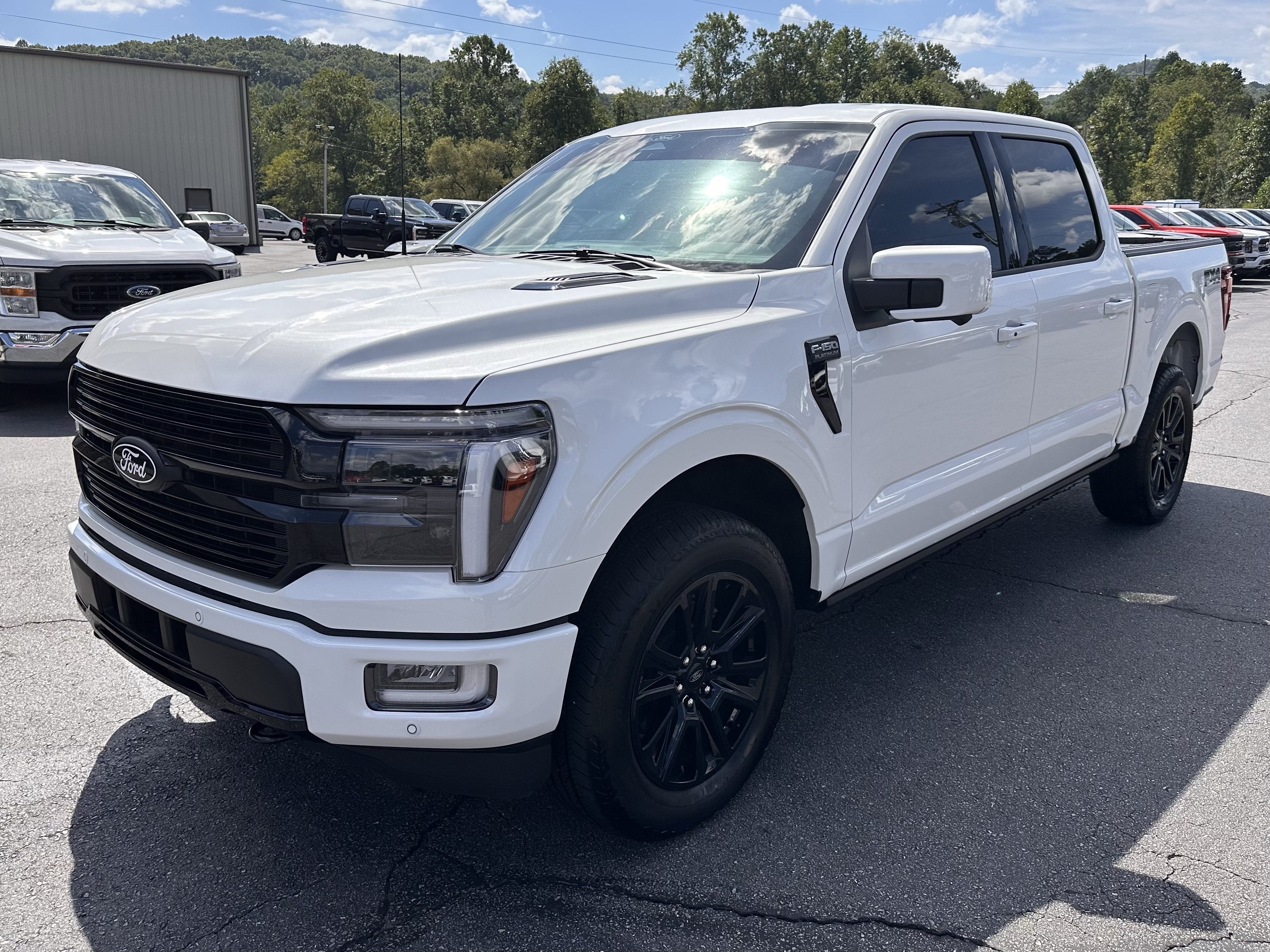 2025 Ford F-150 Platinum